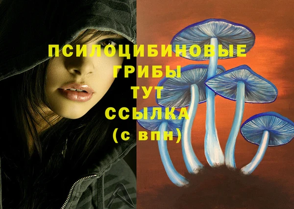 герыч Елабуга