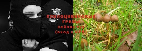 кокаин премиум Заполярный