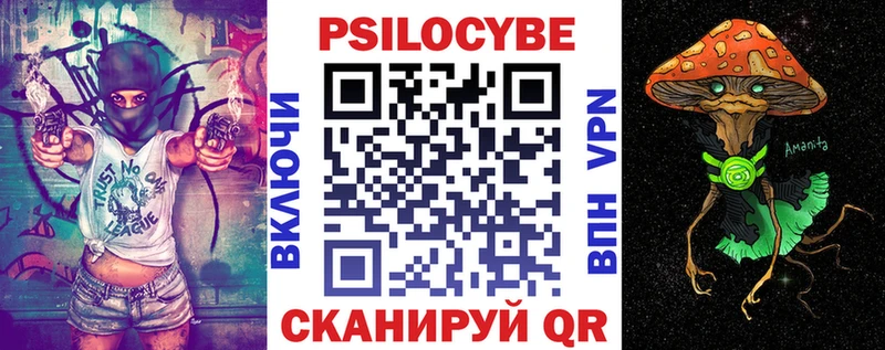 где найти   Заинск  Псилоцибиновые грибы Psilocybine cubensis 