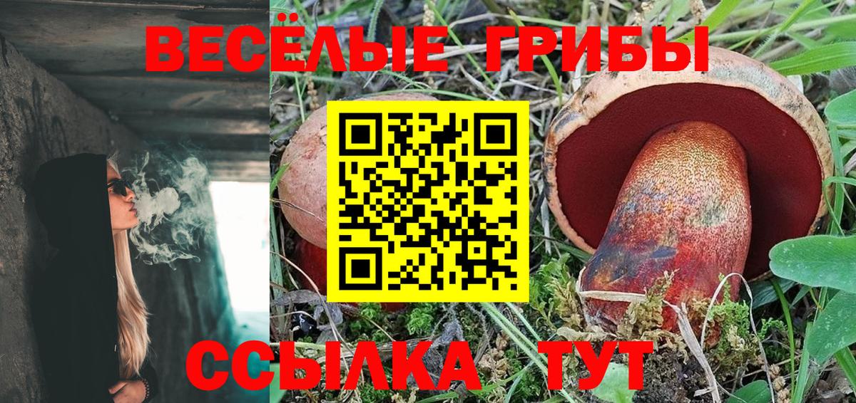 где можно купить   Псилоцибиновые грибы Magic Shrooms  Вход с VPN  Заинск 
